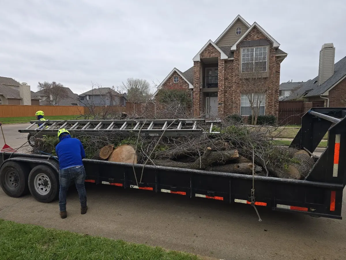 Expert Tree Fertilization with proper safety equipment in Gilby